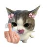 yuki_yoonyoon