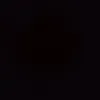_ptnn83._