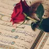 ruqaya8684