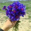esra_nurgul13
