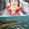 bch.mai369