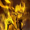 leonardo__nappa.05