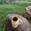 Petani Masa Kini