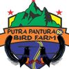 putra_pantura_rk_bf