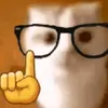 owner_of_a_cat