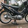 danzk517