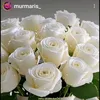 offendedbytherain_763