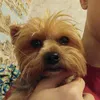 pomoy.koki