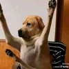 itsmeyourgrandmother