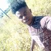 cephasb1