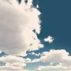 user8isy37p3iv