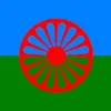manyvoicesgyal2