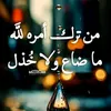 amlvlr