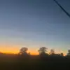 drcey_thomson0