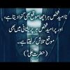 chandag204