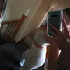 xcourtney.rx77