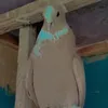 userovfkipqbfu