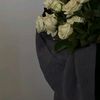 jana.ahmed98