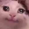 lloroenhd