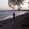 _annacly