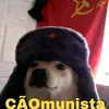 cao_munista