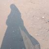 pisces14_store