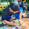 kriezeljane_sambrano