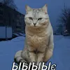 ЫЫЫЫЄ ッ
