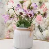 bloomspetals