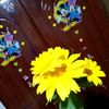 sadudoni0827