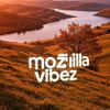mozilla9066
