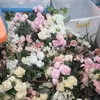 hendralaksana79