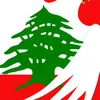 elkadamani