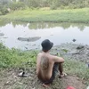 anh...gau