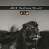 mx__s18