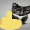 userj9zwbfe3hj