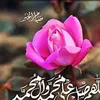 user7016351784157