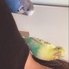 idkkrandomstuff