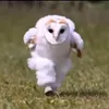 userwfgywl2q9q