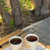 roza_9455