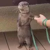 _yennhi221_