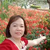 phamnhung123455