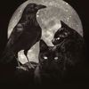 cats.and.ravens