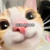 mendones00