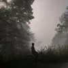 phil_j_lc