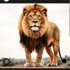 mekelle112574365305