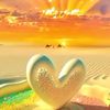 shanty0578