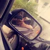 le_knox_