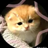 monicv29