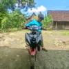 dvarzela